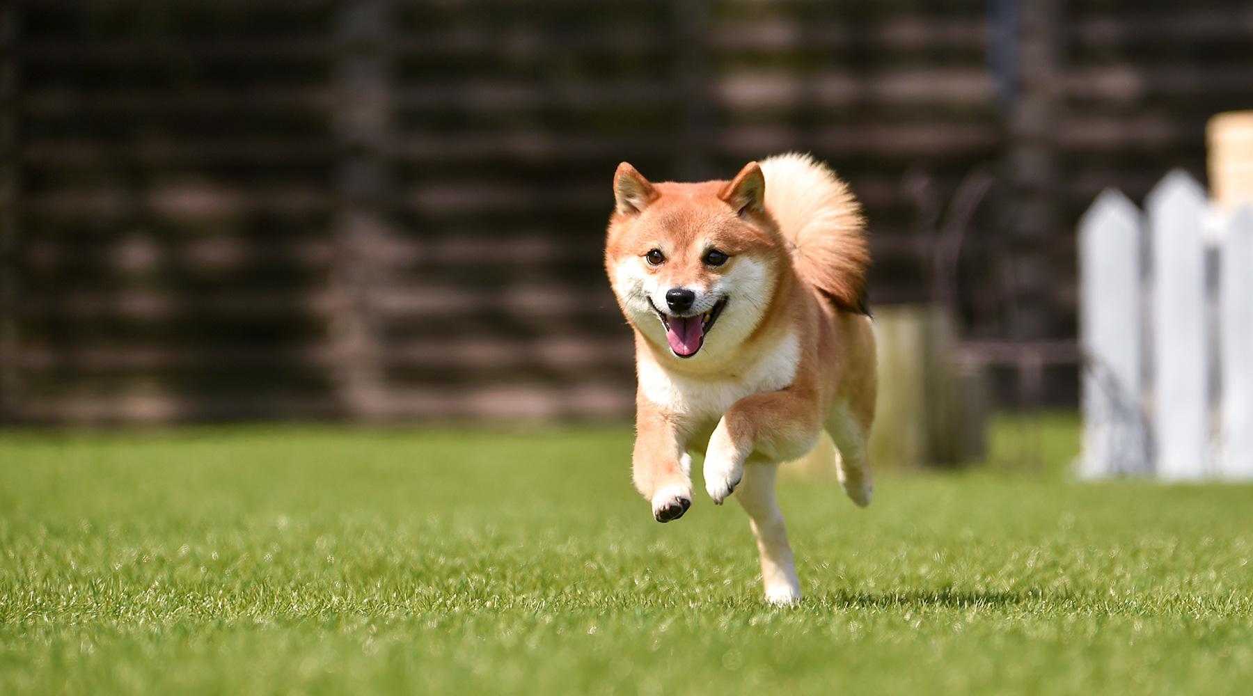 家族と暮らしに彩りを。